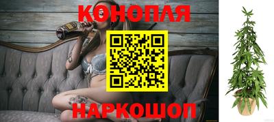 хмурый Кингисепп