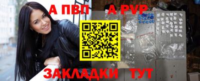 хмурый Кингисепп