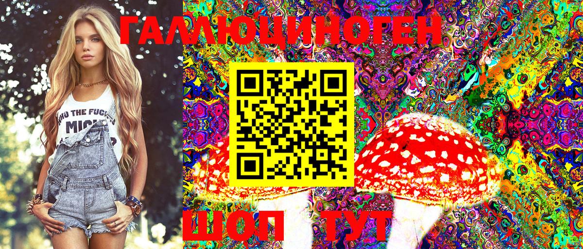 Галлюциногенные грибы GOLDEN TEACHER  купить наркоту  Крымск  Вход с VPN 